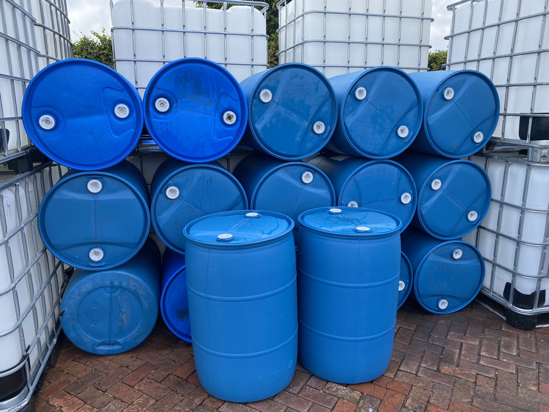 55 gallons plastic barrels , barrel , barriles , barril , drums , drum rain collector