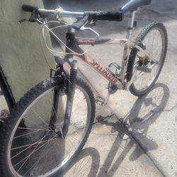 Aluminum SPecialized  Bike