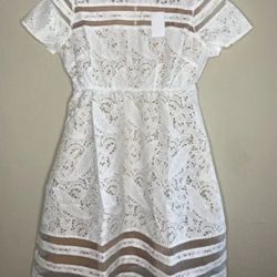 Motherhood Maternity Dresses Medium ( 25 Dresses)