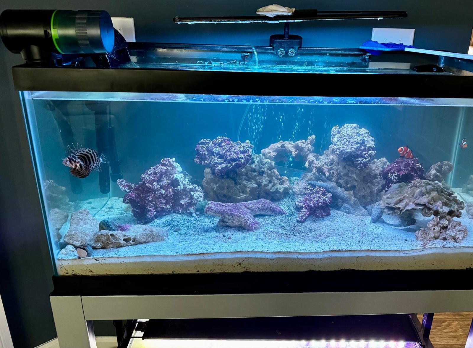 Marine Rocks And More