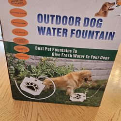 Dog Water Fun