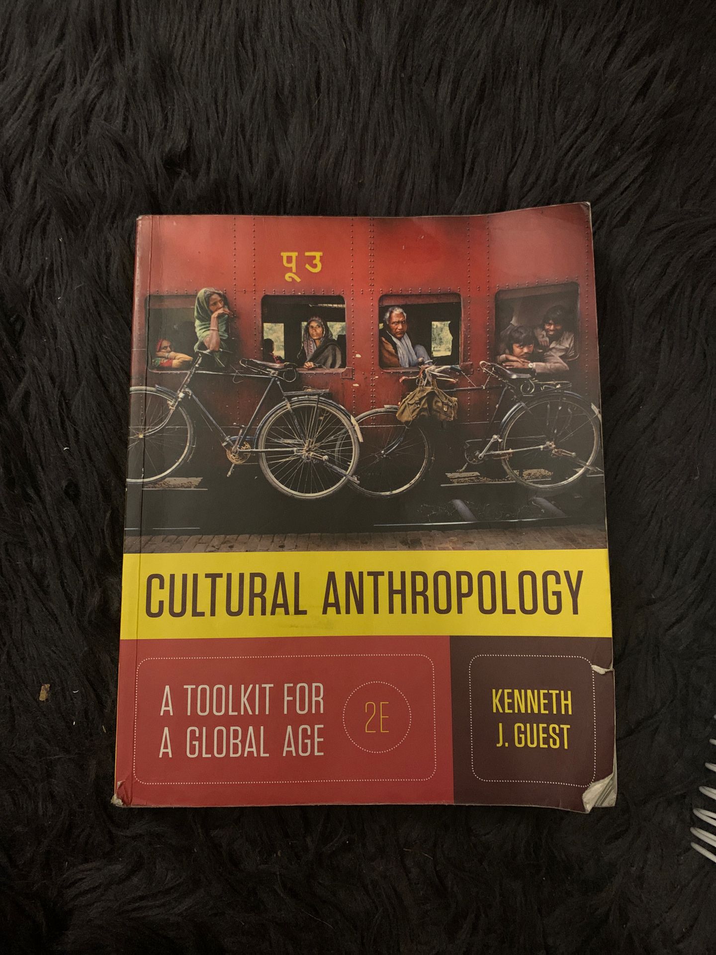 Kenneth J Guest Cultural Anthropology