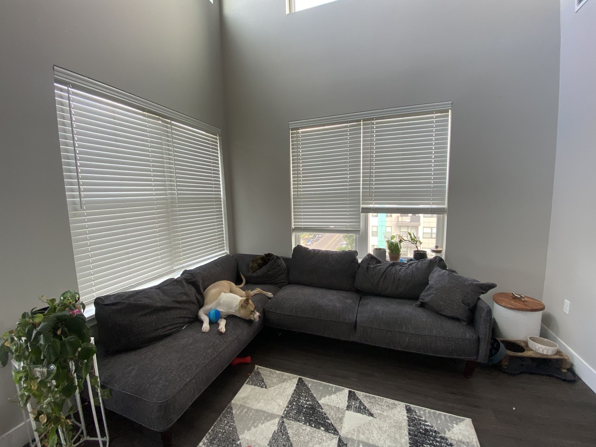 Sectional Couch