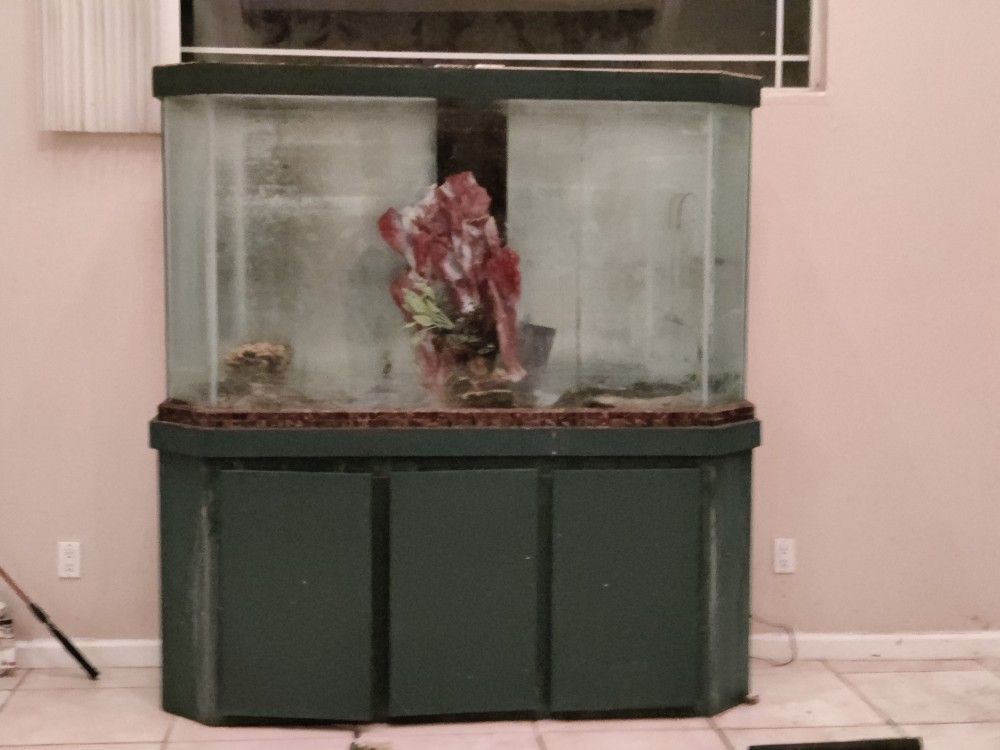 230 Gal Salt Water Tank