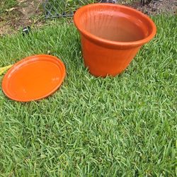 Big Cermic Orange Big Pot 2 Pieces  Plants 