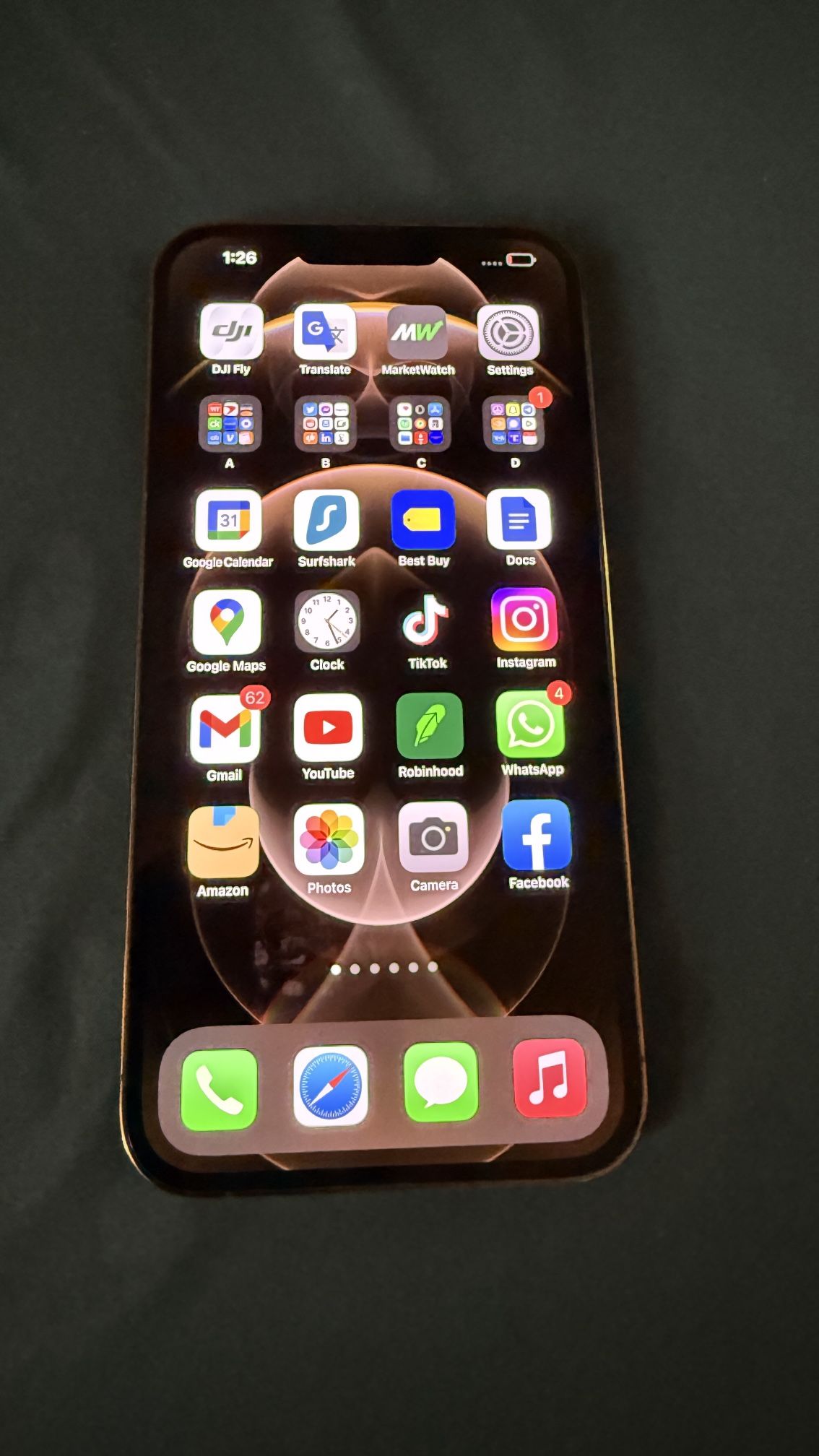 iPhone 13 Pro Max with TikTok