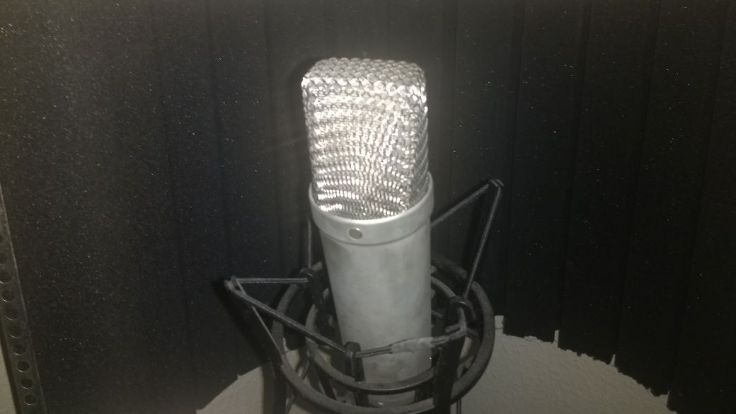 Rode Mic with cover and stand