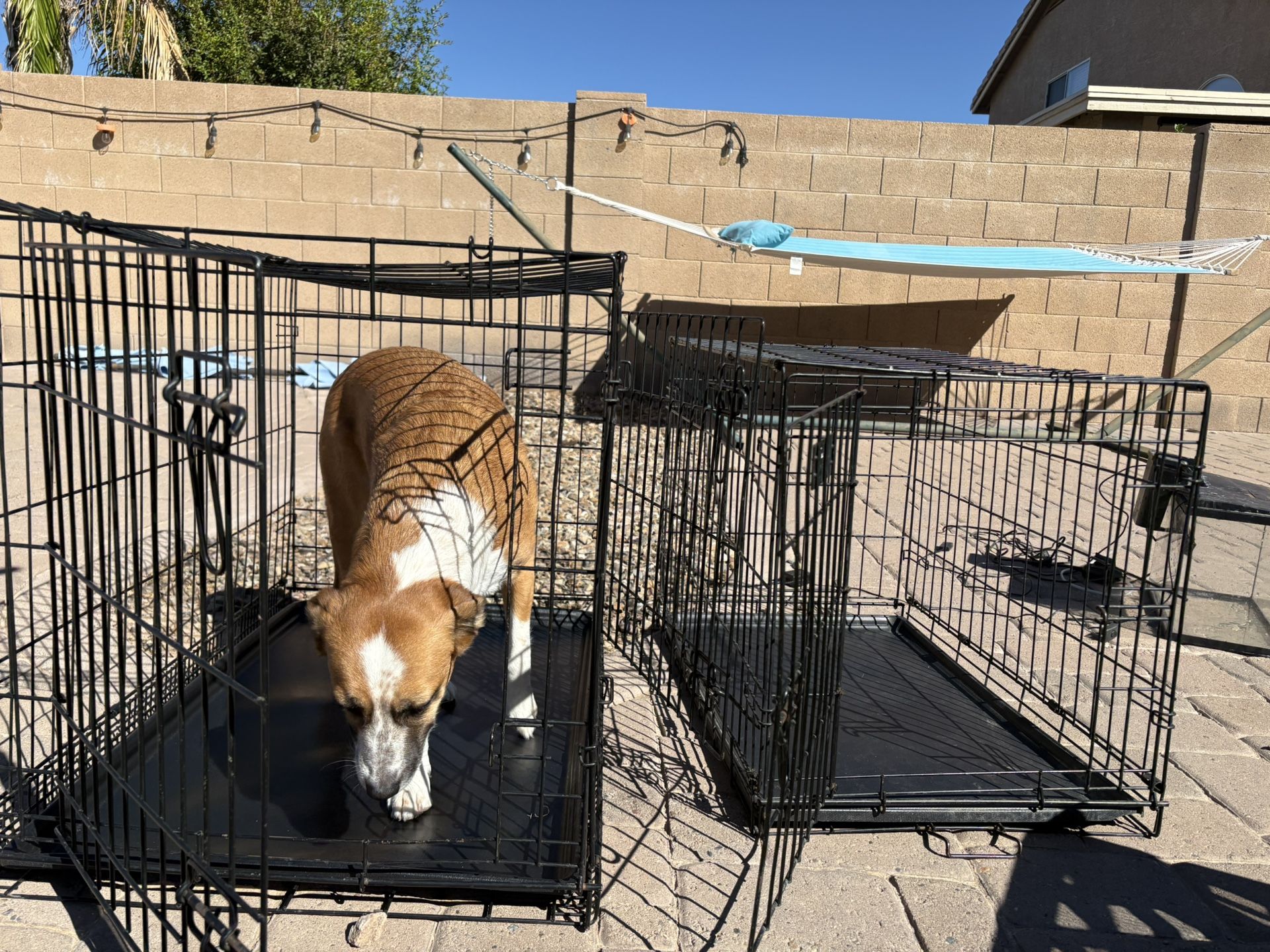 Dog Crates
