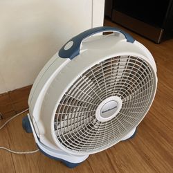 Fan