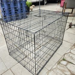 Pet Supplies