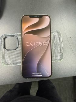 iPhone 12 Pro Max