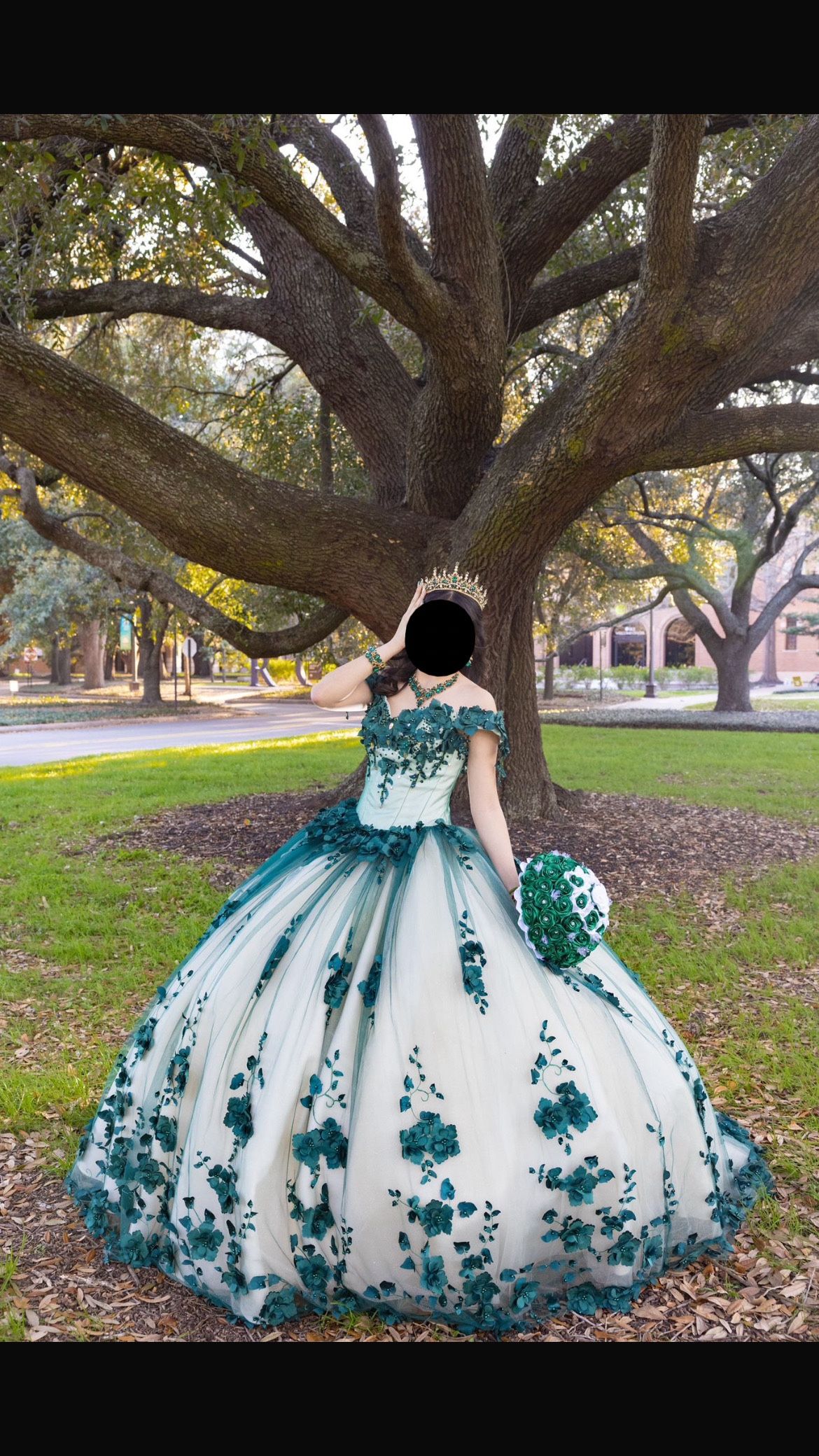 Quinceañera Dress 