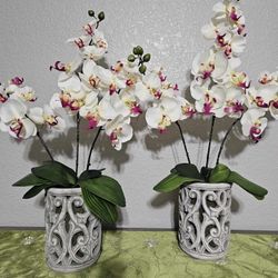 Home Decoration