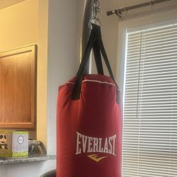 Everlast Punching Bag W/ Stand