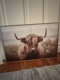 Cow portrait art