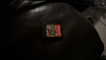 Minecraft for Nintendo switch