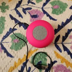 Shower Speaker
