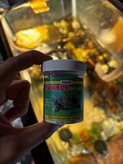 turtle food