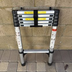 Telescopic Ladder