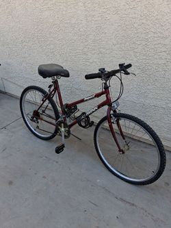 Schwiin bike