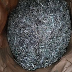 Grass Clipping, Pieces of Sod And Some Dirt