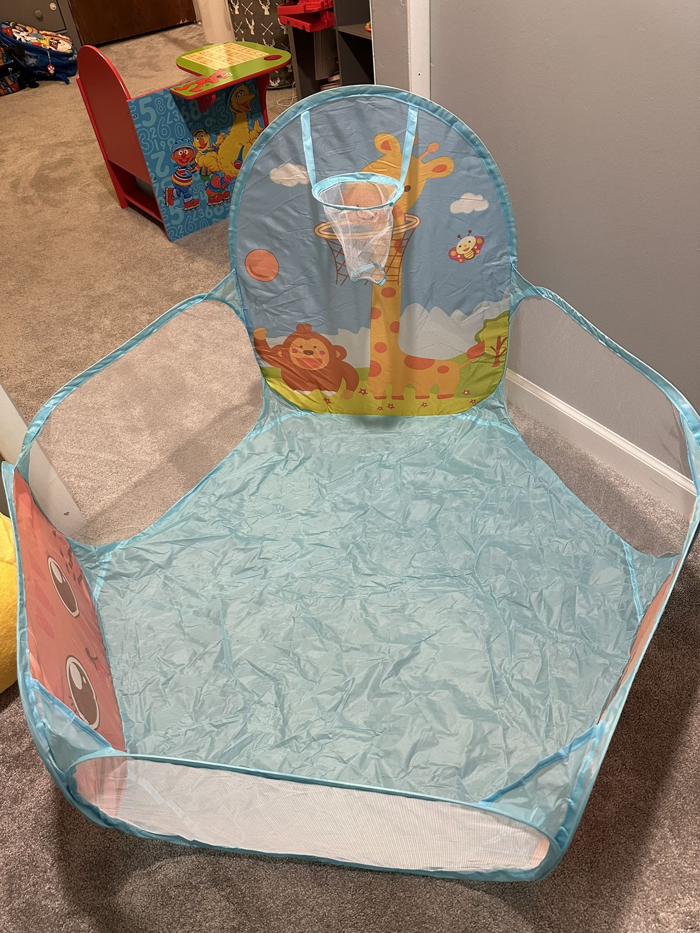 Ball Pit With A Hoop & Carrier