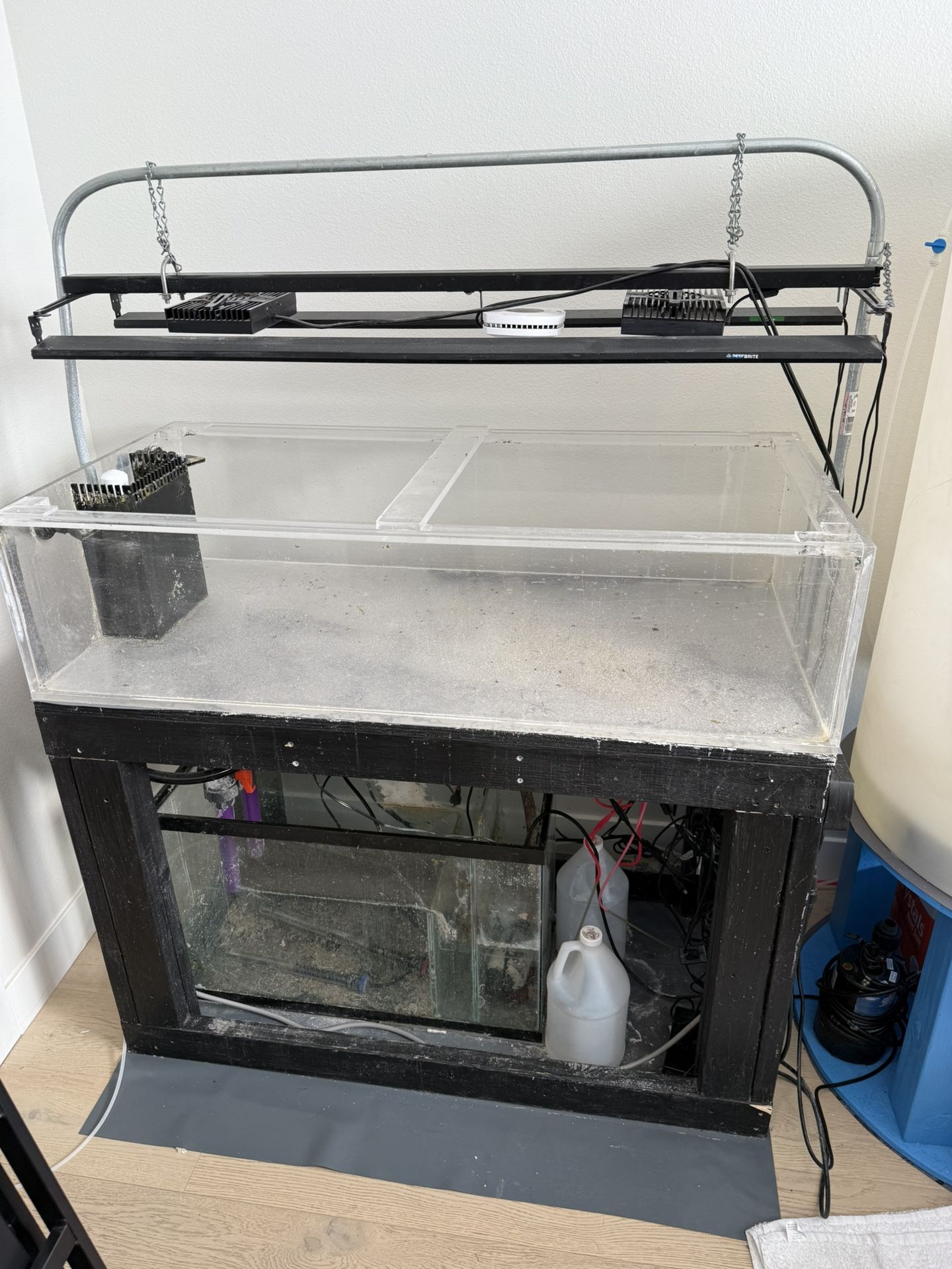 60 Gallon Coral Frag Fish Tank, Lights, Sump, Pump, Heat Etc.