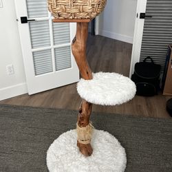 Cat Tree
