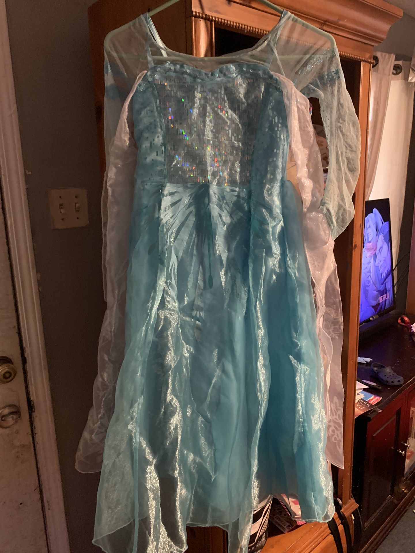 Frozen- Elsa Costume 