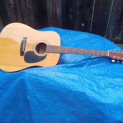 Acoustic Guitar 