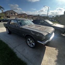 Mustang For Sale