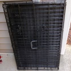 Dog Kennel 