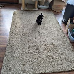 Rug - 5 x 8 Beige Shag