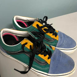 Vans Multicolor Canvas and Suede Skate Shoes