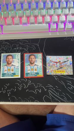 Panini World Cup stickers
