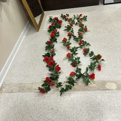 Rose Vines