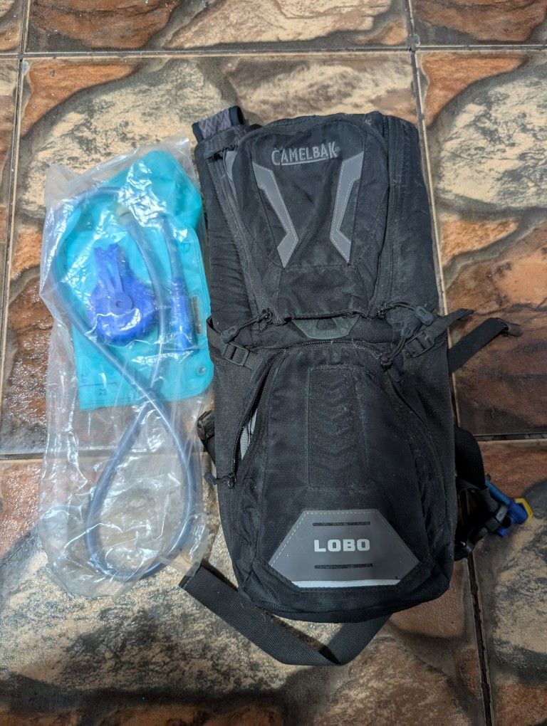 Camelback Backpack 