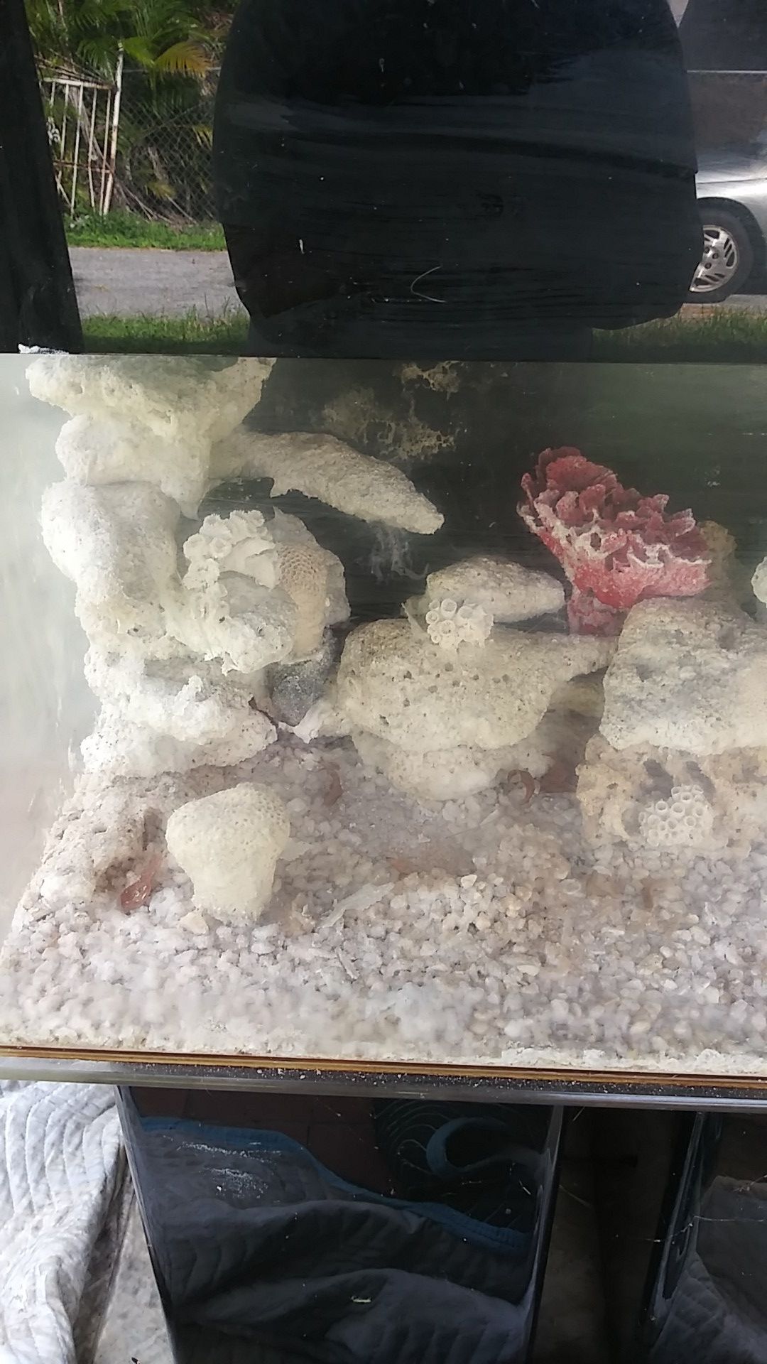 Used fish Aquarium for Sale in Pahokee, FL OfferUp