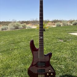Schector Guitar