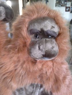 HALLOWEEN MONKEY COSTUME