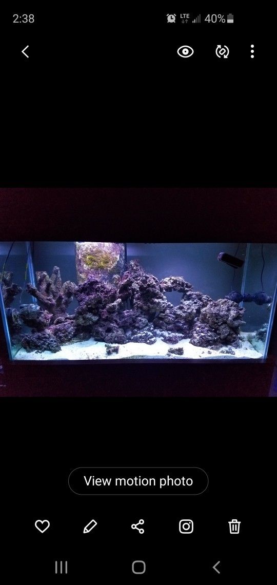 90 Gal Saltwater Aquarium System