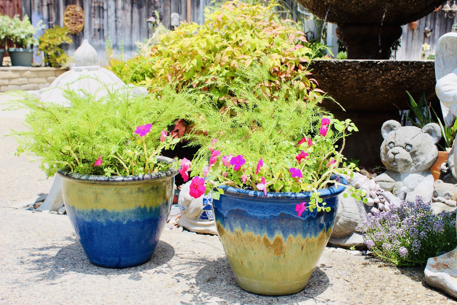A Pair Of Beautiful Ceramic Pots With Thriving Perennials