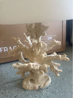 Coral lamp 24 inches high
