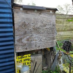 Chicken Coop For Sale Operates Wonderfully For Chickens!