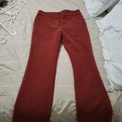 Ann Taylor Dress Pants