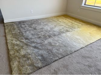 8 X 10 Ombré Carpet
