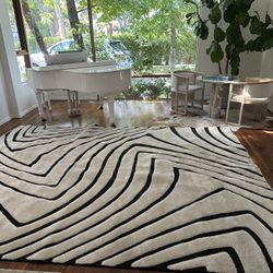 10/13 Brand New Black And White Modern Rug 