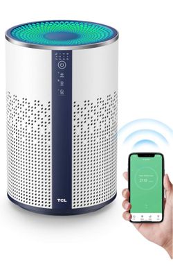 Air Purifier for Home