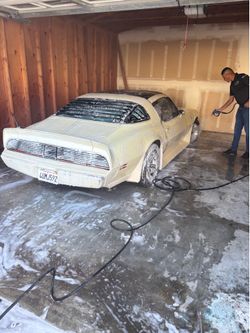 Firebird
