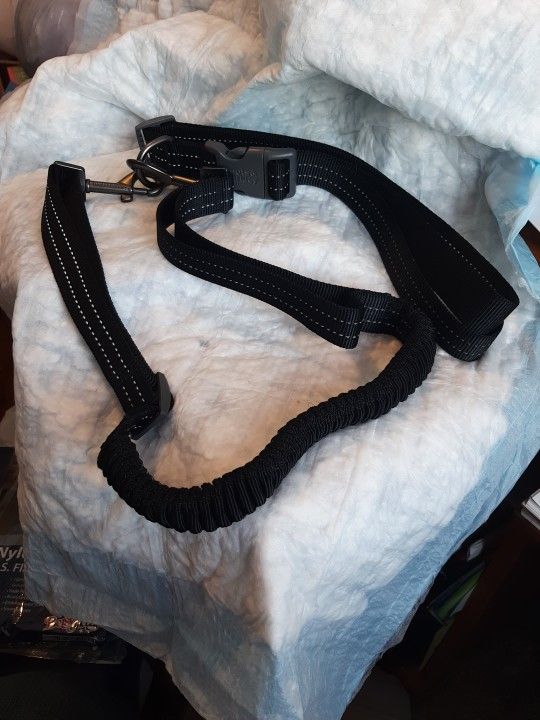 Brand New Boots An Barkley Hands Free Dog Leash